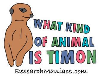 What kind of animal is Timon?